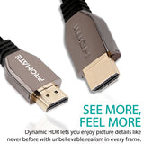 proLink8K-300